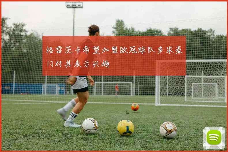 格雷茨卡希望加盟欧冠球队多家豪门对其表示兴趣