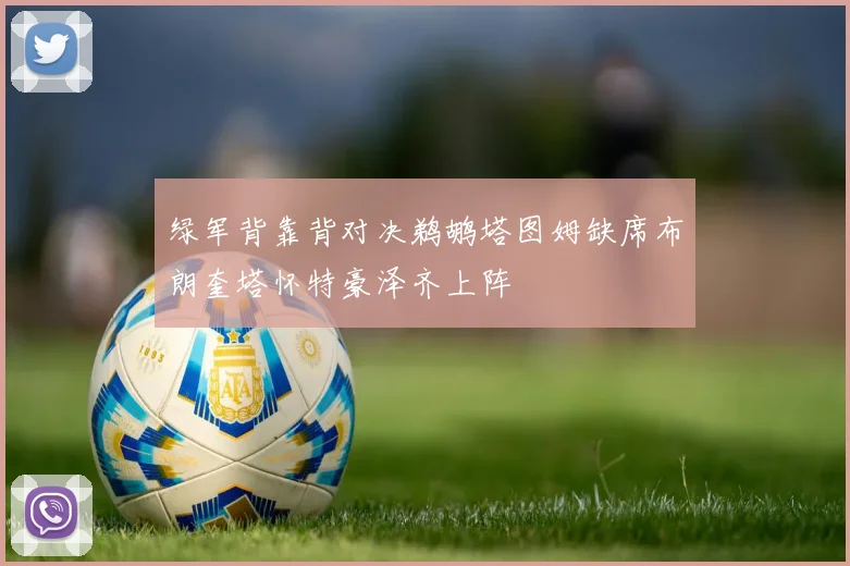绿军背靠背对决鹈鹕塔图姆缺席布朗奎塔怀特豪泽齐上阵