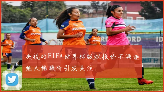 央视对FIFA世界杯版权报价不满拒绝大幅涨价引发关注
